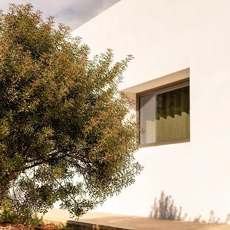 Bed & Breakfast Botanico Villa&suites Specchiolla