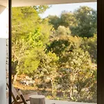 Botanico &